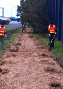 Mulch beds Vic roads PF