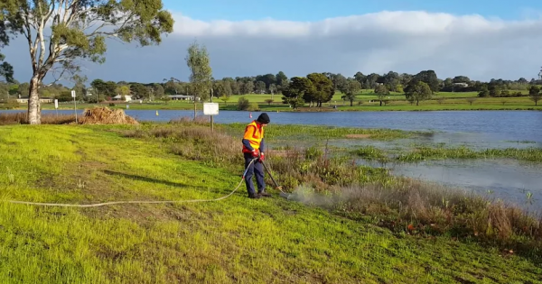 Chemical free weed control